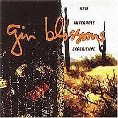 Stream "Hey Jealousy" Gin Blossoms by scottrek66 Listen online for