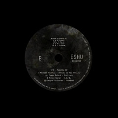 ESHU002  - V/A - PALETTE EP - SNIPPETS