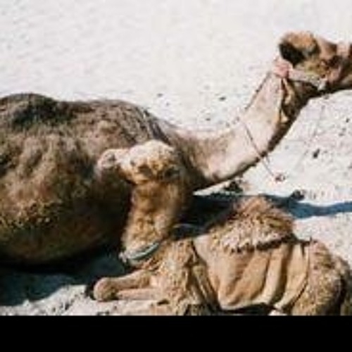 طرفة بن العبد