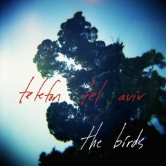 Telefon Tel Aviv - The Birds (Ellen Allien Remix)