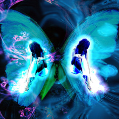 Butterfly Effect