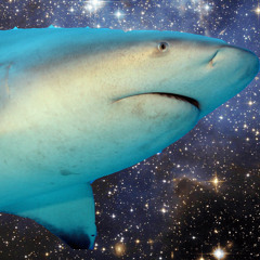 BULL SHARKS CAN GO IN FRESH WATER (ORIGINAL MIX) FEAT. GRANATA