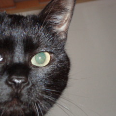 PETER PHARMAK - Nistriu (125 bpm)