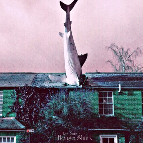 LoOmis - House Shark
