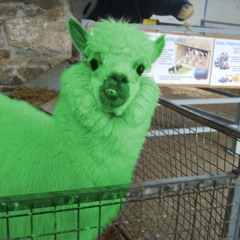 Lhamas Water (Promo March 2012)