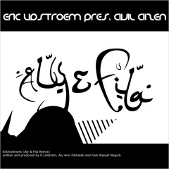 Eric Lidstroem Pres. Civil Citizen - Enthrallment (Aly & Fila Remix)