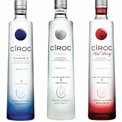 RISE TO THE TOP- YUNG D CHICH JSLAY