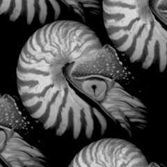 Strago - Nautilus (Preview)