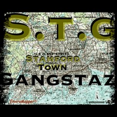 To all the city's S.T.G SITY FEAT AR-15 DIRTY BUZZ
