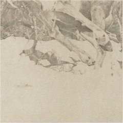 Glowworm - The Captive