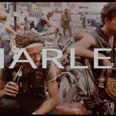 Harley - Bike