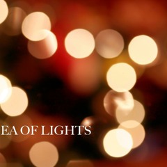 Rose Parade - The Sea Of Lights