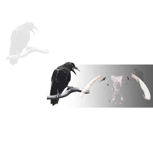 09-The cries of Sualtaim's head