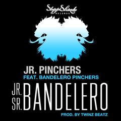 Jr. Sr. Bandelero FINAL MIX
