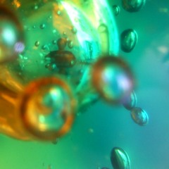 Wissahickon Chicken Minimix (March 2012)