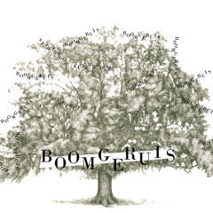 Boomgeruis - Evening Falls, Melancholy Calls