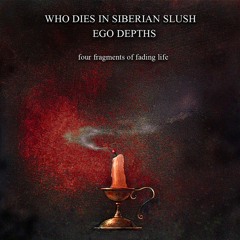 Who Dies In Siberian Slush - Refinement of the Mould