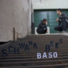 Schwana Bees - Dawned