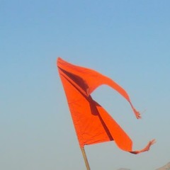 स्वराज्य साठी जन्म आमचा