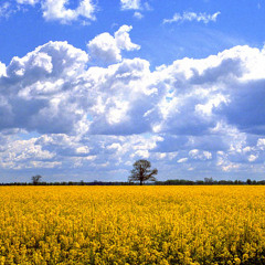 Oliver Schories - My Spring (Mixtape March 2012)