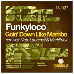 Funkyloco - Going Down Like This (Original Mix)128k Clip