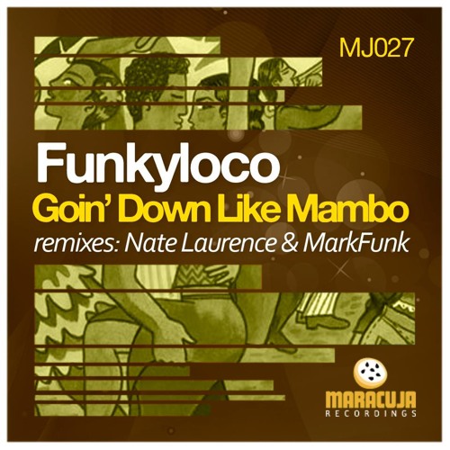 Funkyloco - Going Down Like This (Original Mix)128k Clip