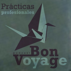 Bon Voyage - 5to Practicas Profesionales