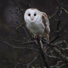 Journey by Michael Montes Piano Cover