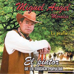 Hay chavela (cover) - Antonio Alguilar