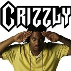 Hard In Da Paint - Bellizio Remix(Crizzly Edit) [CHOPPED&SCREWED]