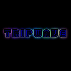 Dirt Monkey & MSD - Intergalactic (Tripwave Remix) FREE DL!