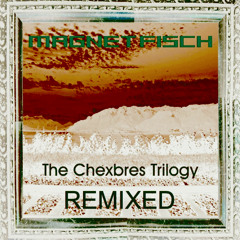 Magnetfisch - Contre la crise (THE WEB & CXXXVI Remix)