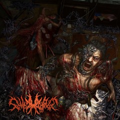 Metal + Flesh ('Fast-Slow Demolition' LP 2012)