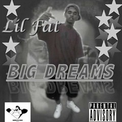 Lil Fat -System