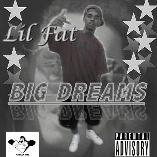 Lil Fat -System