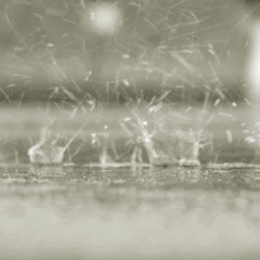 단비 - 오늘 그대라는 단비가 내리운다