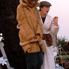 Do you think you might be dreaming