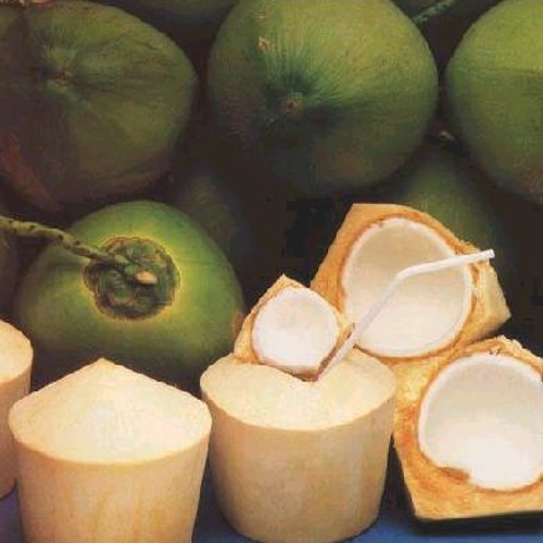 coconut juice