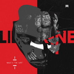 Lil Wayne - Racks - Mr. Victor Dubstep Remix