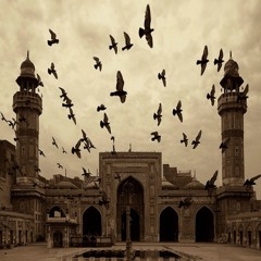 وما توفيقي الا بالله
