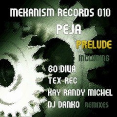 Peja - Prelude  - Tex-Rec Tool Remix [ Mekanism Records ]