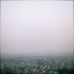 追い詰められて