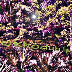 Life of triphop -ekkodub'live