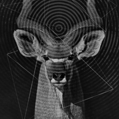 Mad World (Gary Jules) Remix