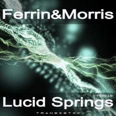 05. Ferrin and Morris - Lucid Springs (Uplifting Edit)
