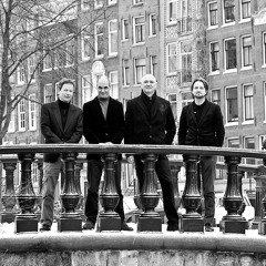 Between blue and brown