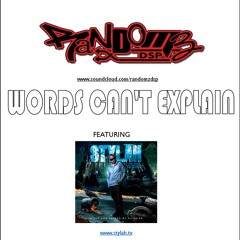 Randomz DSP ft Stylah - Words Can't Explain