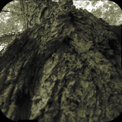 [abstraction-algorithm]