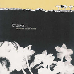 Bavarian Fruit Bread - Hope Sandoval and the Warm Inventions