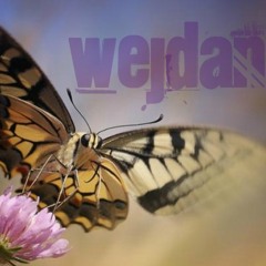 احمد الفتلاوي - اشرق غديرك